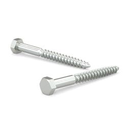 Tire-fond à tête hexagonale - Zinc - 1/4"x3-1/2" (50)