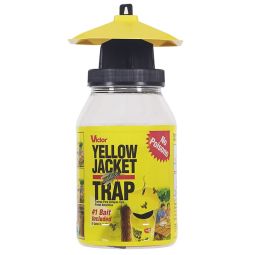 Wasp and Flying Insect Trap