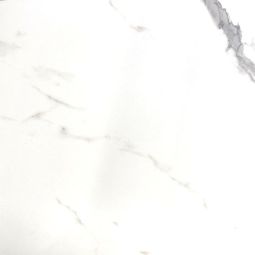 Porcelain Tile 24"x24" Carrara (15.5sq.ft) Matte