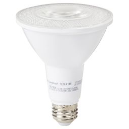 LED lightbulb PAR30 11W Day light  5000K
