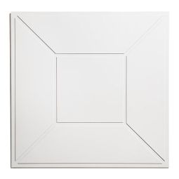 Panneau décoratif encadré pour plafond 2 pi x 2 pi x 1/4 po (paquet de 8)