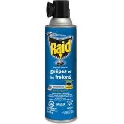 Insecticide en aérosol Raid contre les guêpes et les frelons, 400 g