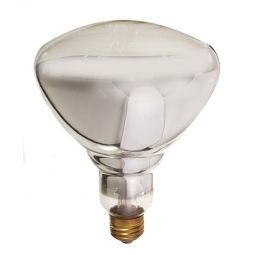 Ampoule infrarouge R40 - 250 W, 130 V, claire