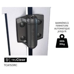 Ensemble de 2 charnières à fermeture automatique pour portail - noir